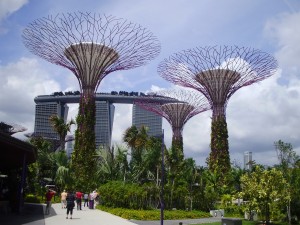Gardens by the Bay es uno de los nuevos secretos de Singapur.