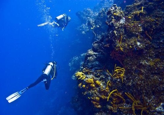Diving en Cozumel